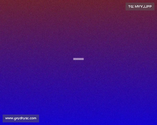 星速科技有限公司